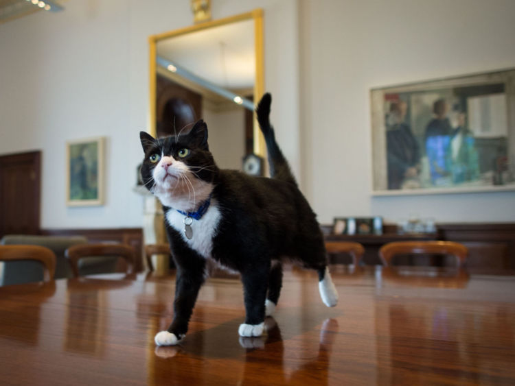  Palmerston le ministère des Affaires étrangères 