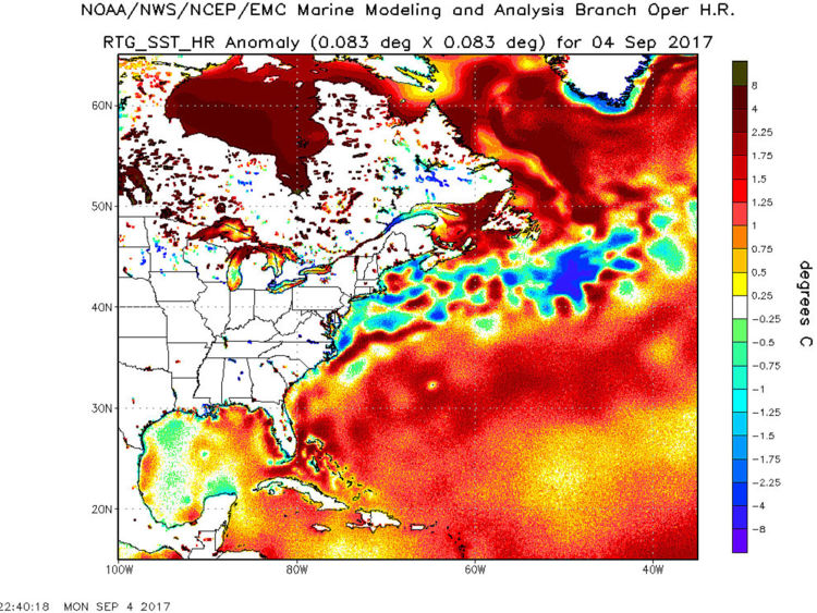  Ce graphique, plus tôt cette semaine, les montre de 0,5 ° C à 1,25 ° C au-dessus de la moyenne. Pic: NOAA / NWS / NCEP / EMC 