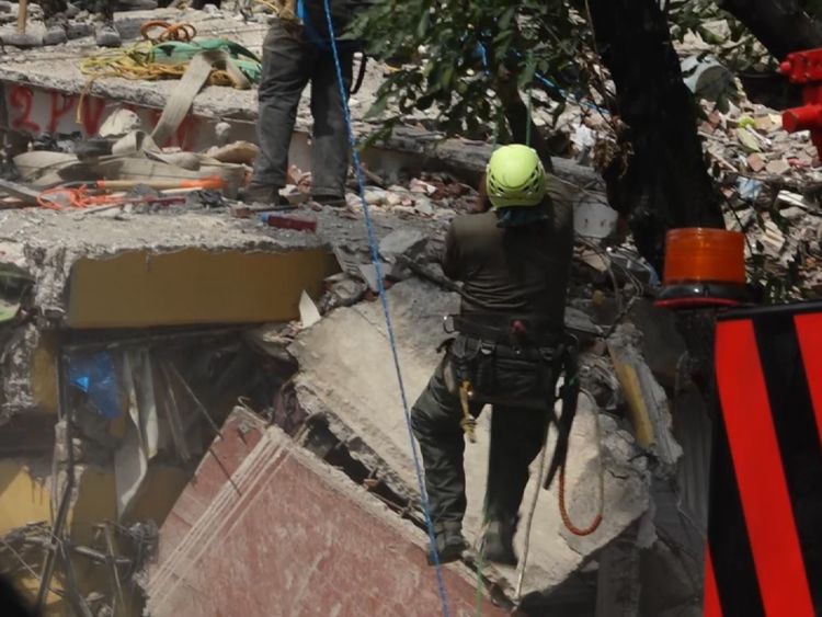  Un chirurgien de l'arbre a grimpé rapidement pour faire des boucles afin que la grue puisse avoir accès 