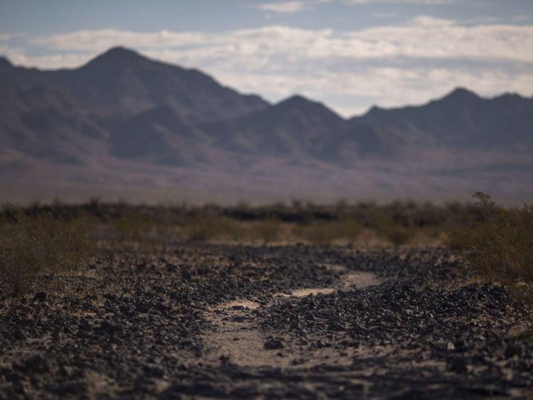  Le Mojave Trails National Monument en Californie 