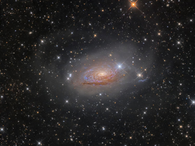  M63 Star Streams et la galaxie de tournesol. Pic: Oleg Bryzgalov 