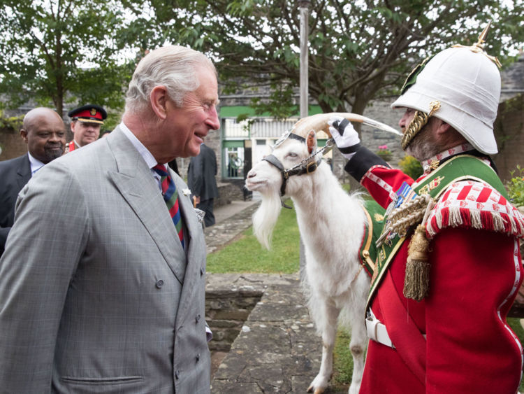  Le caporal Shenkin III reste cool alors que le prince Charles s'enquiert de lui 
