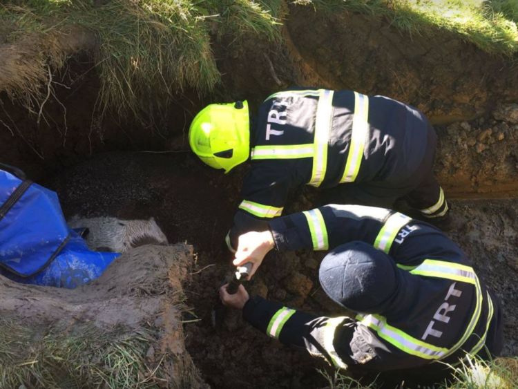  Photo: Service de secours et de sauvetage de West Yorkshire 