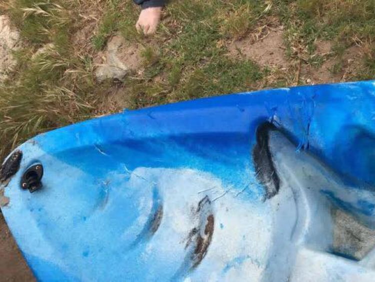  Dommage sur le kayak de Sarah de l'attaque de requin 