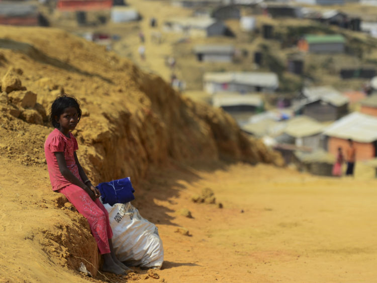  Rohingya 