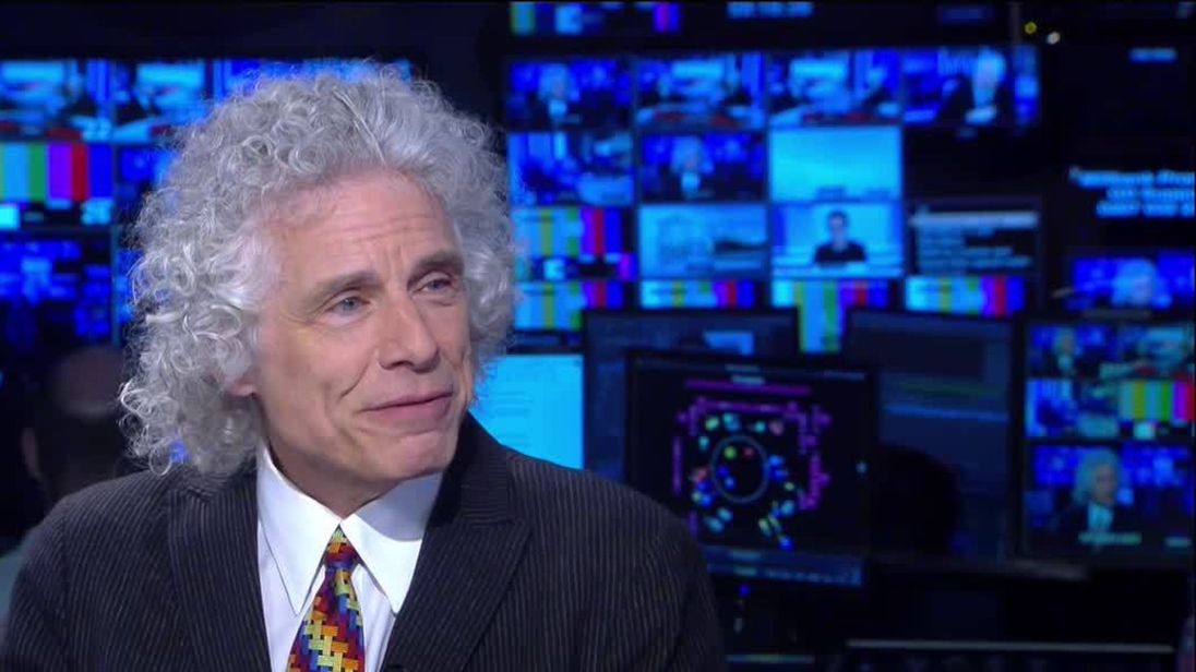  Professor Steven Pinker 