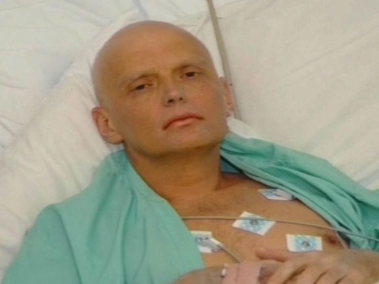  Alexandre Litvinenko 