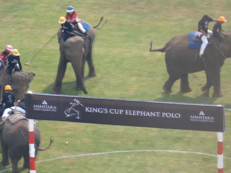  Éléphants à la Coupe du Roi Elephant Po Le tournois du tournoi d'éléphant de la King's Cup a lieu à Bangkok </span><br />
      </figcaption></figure>
</div>
<p> Les autres sponsors n'ont pas pu répondre immédiatement. </p>
<p> "Battre les éléphants qui sont utilisés dans un jeu ils ne comprennent pas tout en affirmant financer des efforts de conservation pour leurs espèces est une escroquerie ", a déclaré Jason Baker, vice-président de PETA en Asie. </p>
<p>" PETA et ses affiliés dans le monde appellent à une fin immédiate de ce spectacle de souffrance et soulagement pour les victimes d'éléphant de ce fiasco déguisé en collecteur de fonds. "</p>
<p> L'événement de quatre jours à l'Anantara Riverside Bangkok Resort est présenté comme un" point culminant des calendriers sociaux annuels de la haute société internationale "et une occasion de créer changement pour les éléphants dans le besoin dans le Royaume. "</p>
<p> Les organisateurs, Anantara Hotels, Resorts et Spas, ont déclaré à Sky News qu'il" condamnait fermement les mauvais traitements de tout éléphant à tout moment "et a confirmé que la poignée </p>
<div class=