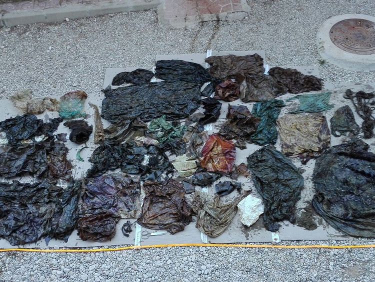  des déchets ont été trouvés dans le système digestif de la baleine tige. Pic: @EspNaturalesMur 