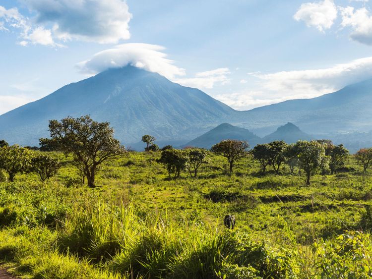 Parc national des Virunga, site du patrimoine mondial de l'UNESCO, République démocratique du Congo 