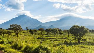  Parc national des Virunga, site du patrimoine mondial de l'UNESCO, République démocratique du Congo 