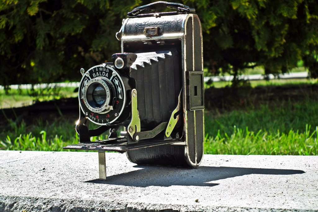 Comment pratiquer la chasse photographique ?