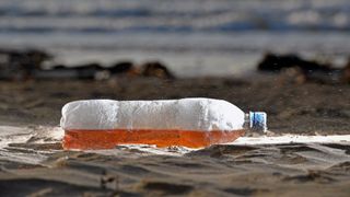 Surfers Against Sewage fait campagne pour réduire les déchets plastiques sur nos plages "srcset =" https://e3.365dm.com/18/01/320x180/plastic-beach-pollution_4213394.jpg?20180124134704 320w, https: //e3.365dm .com / 18/01 / 640x380 / plastique-plage-pollution_4213394.jpg? 20180124134704 640w, https://e3.365dm.com/18/01/736x414/plastic-beach-pollution_4213394.jpg?20180124134704 736w, https: / /e3.365dm.com/18/01/992x558/plastic-beach-pollution_4213394.jpg?20180124134704 992w, https://e3.365dm.com/18/01/1096x616/plastic-beach-pollution_4213394.jpg?20180124134704 1096w , https://e3.365dm.com/18/01/1600x900/plastic-beach-pollution_4213394.jpg?20180124134704 1600w, https://e3.365dm.com/18/01/1920x1080/plastic-beach-pollution_4213394. jpg? 20180124134704 1920w, https://e3.365dm.com/18/01/2048x1152/plastic-beach-pollution_4213394.jpg?20180124134704 2048w "tailles =" (min-largeur: 900px) 992px, 100vw