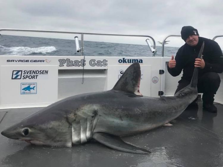  Matthew Burrett et le requin 