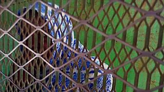 Noura Hussein, 19 ans, a été condamnée à mort par pendaison au Soudan, après avoir poignardé son mari à mort. 