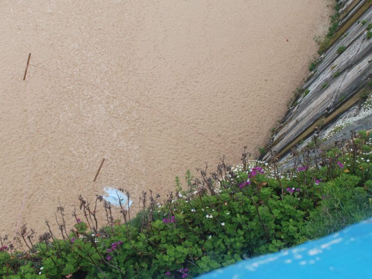  La scène de l'accident. Pic: Jornal O Ericeira 