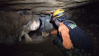 Les équipes de secours luttent contre les hautes eaux pour trouver des garçons disparus dans la grotte thaïlandaise "srcset =" https://e3.365dm.com/18/06/320x180/skynews-thai-cave_4346787.jpg?20180627090659 320w, https: //e3.365dm .com / 18/06 / 640x380 / skynews-thai-cave_4346787.jpg? 20180627090659 640w, https://e3.365dm.com/18/06/736x414/skynews-thai-cave_4346787.jpg?20180627090659 736w, https: / /e3.365dm.com/18/06/992x558/skynews-thai-cave_4346787.jpg?20180627090659 992w, https://e3.365dm.com/18/06/1096x616/skynews-thai-cave_4346787.jpg?20180627090659 1096w , https://e3.365dm.com/18/06/1600x900/skynews-thai-cave_4346787.jpg?20180627090659 1600w, https://e3.365dm.com/18/06/1920x1080/skynews-thai-cave_4346787. jpg? 20180627090659 1920w, https://e3.365dm.com/18/06/2048x1152/skynews-thai-cave_4346787.jpg?20180627090659 2048w "tailles =" (min-largeur: 900px) 992px, 100vw