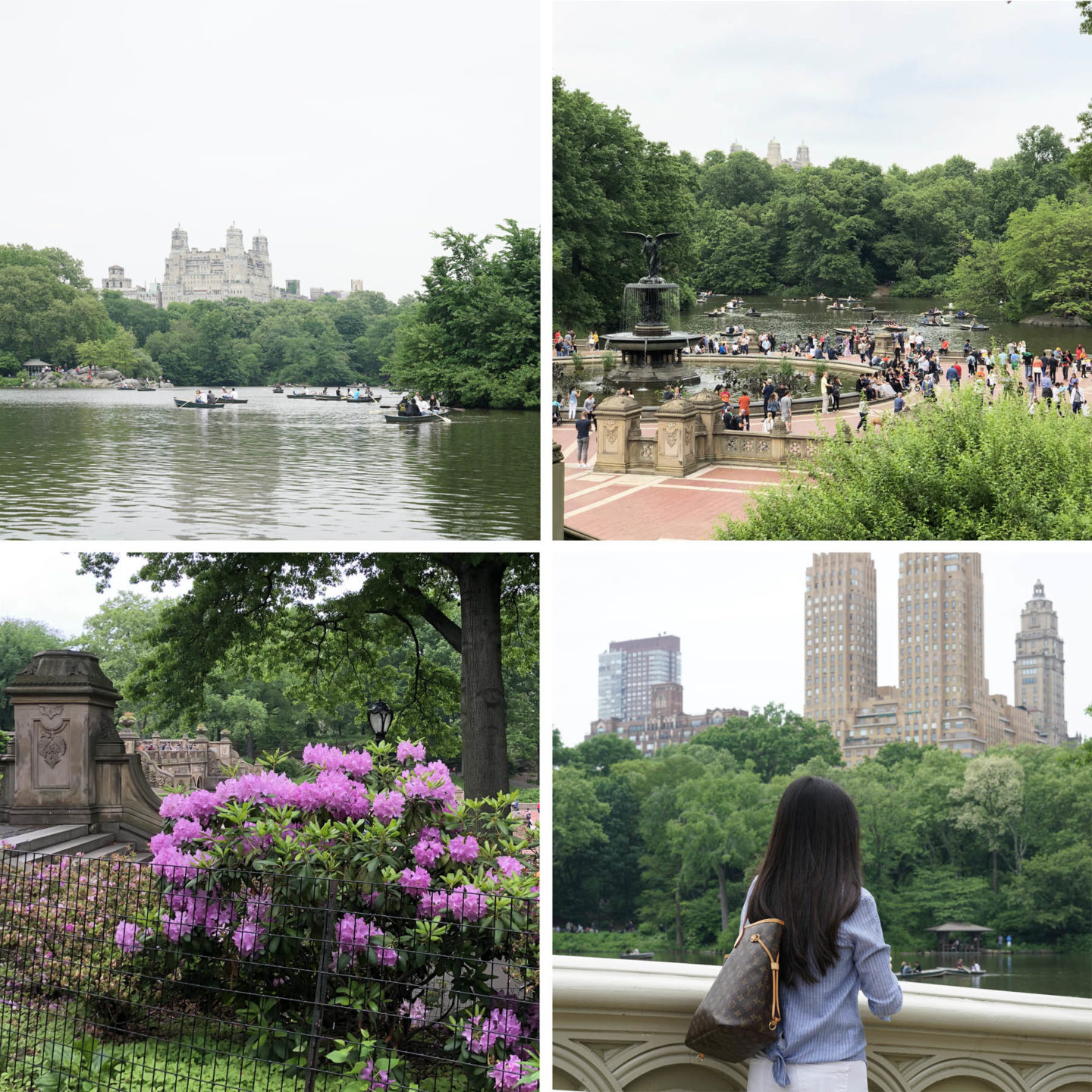 Été à Central Park | Le livre d'apparence BeautY