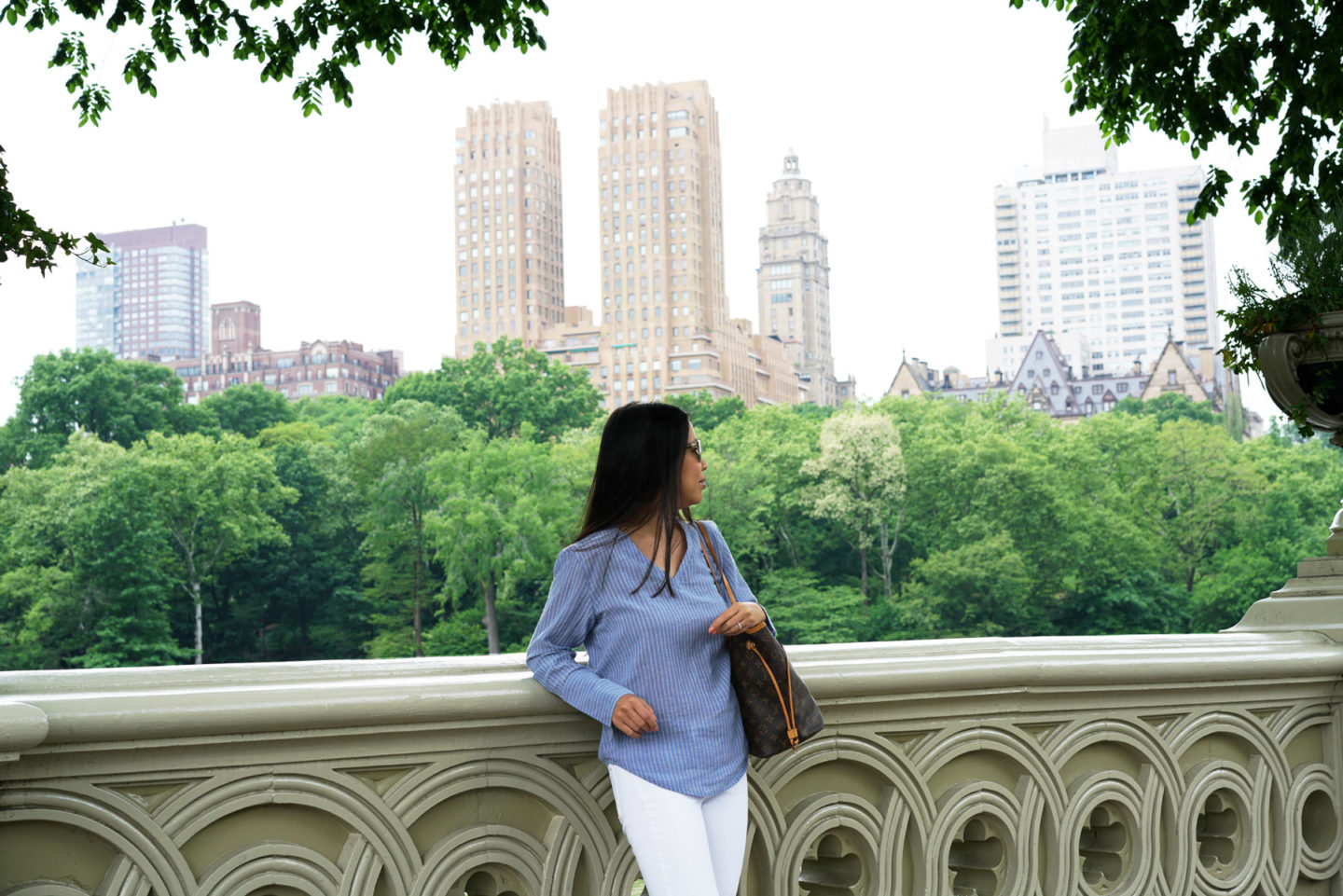 Été à Central Park | Le livre d'apparence BeautY