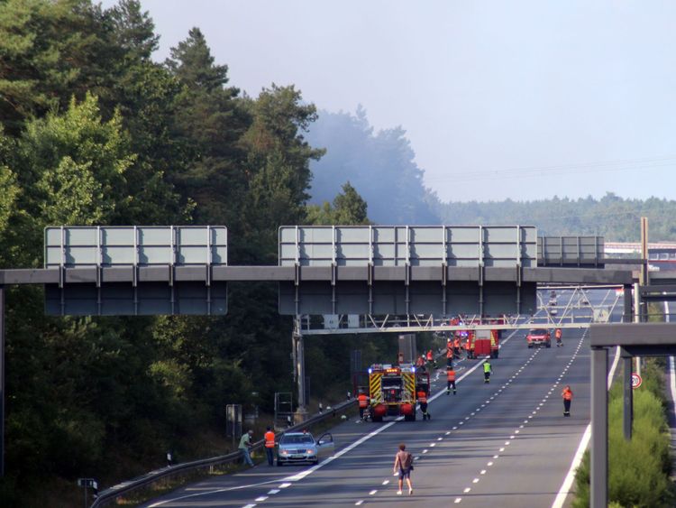 Une autoroute à côté de la forêt a dû être fermée