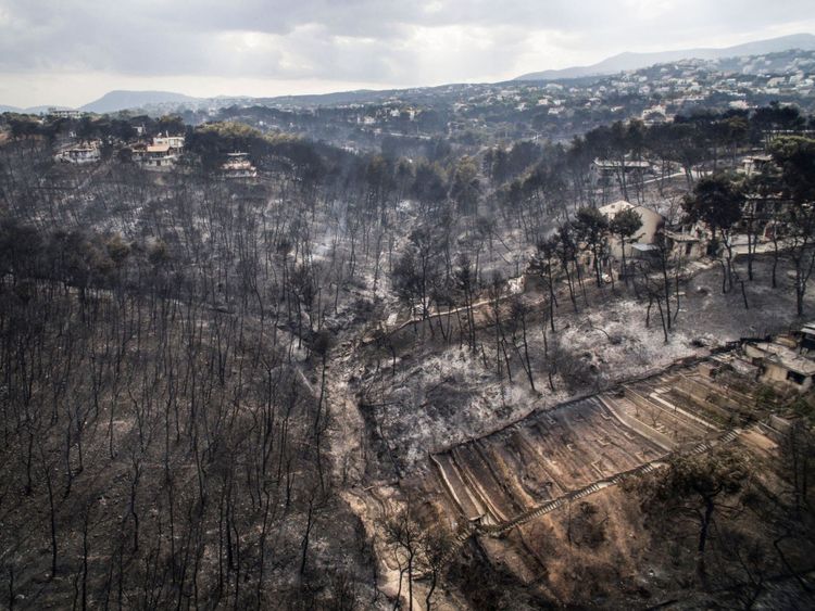Une vue aérienne montre les dégâts causés par un feu de forêt près du village de Mati, près d'Athènes