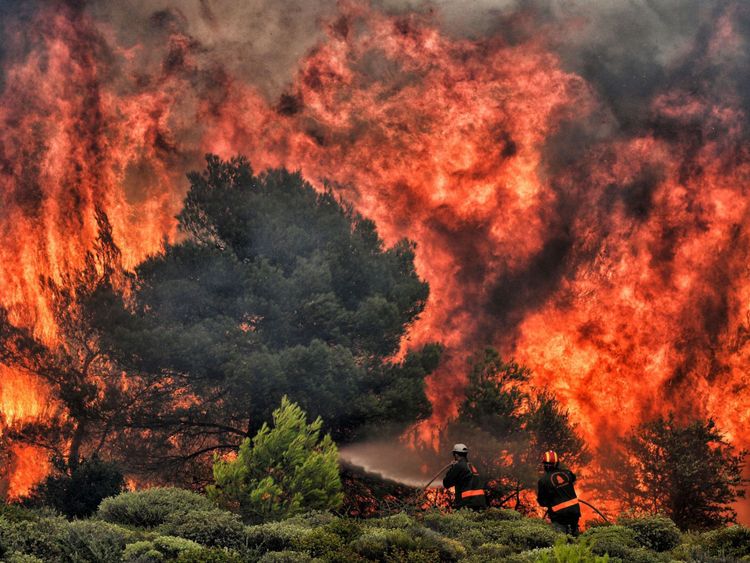 Les pompiers tentent d'éteindre les flammes lors d'un incendie dans le village de Kineta, près d'Athènes, le 24 juillet 2018