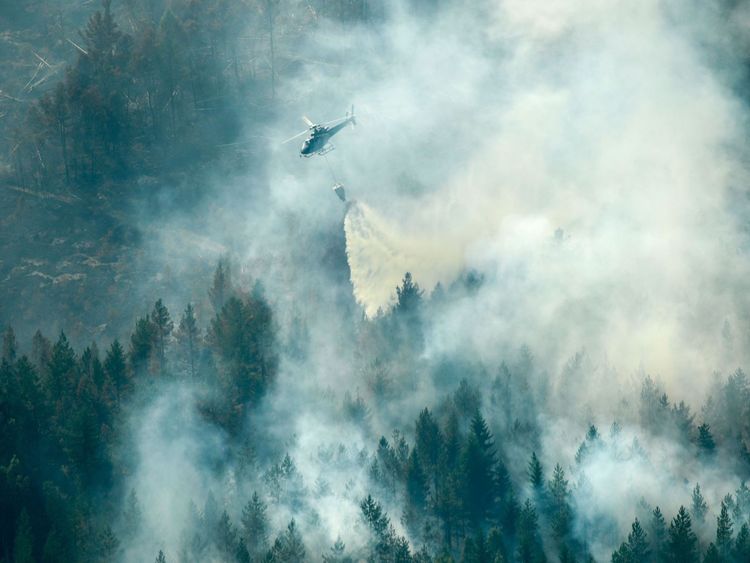 Plus de 50 incendies de forêt sont abordés en Suède