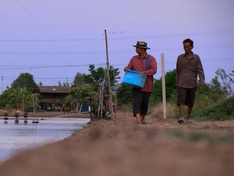 Prasit Choothip et Somnuak Jeenklab dirigent une ferme de crevettes à côté de l'usine illégale de Bangkok