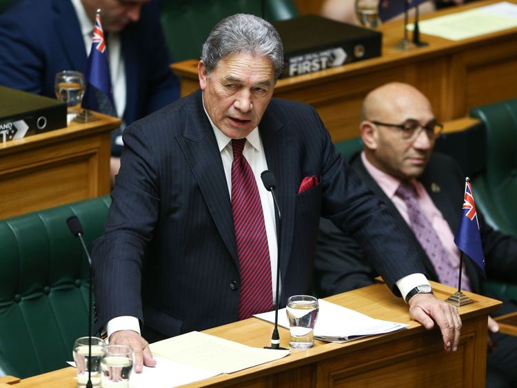 Le Premier ministre par intérim Winston Peters s'oppose aux hamburgers végétaliens vendus sur le transporteur national