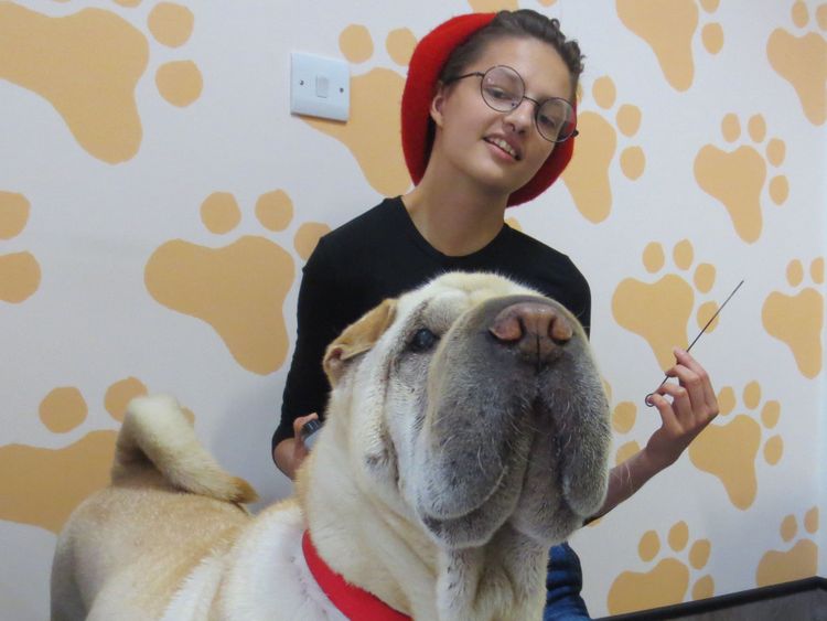Un chien Sharpei appelé Hoshi avec sa propriétaire Sandra Kim