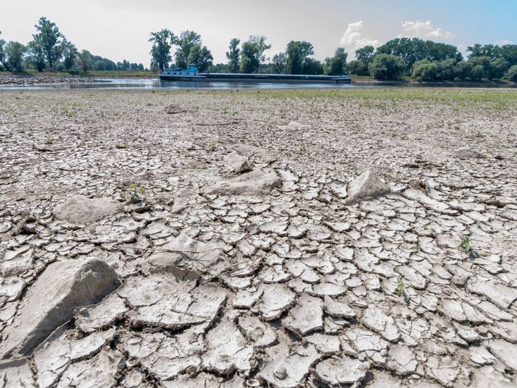 Terre desséchée à côté d'une rivière basse Danube en Allemagne