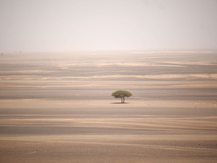 Les experts ont averti que des pans de la planète pourraient être inhabitables 