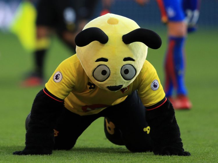 La mascotte de Watford se moquant de Wilfried Zaha en 2016