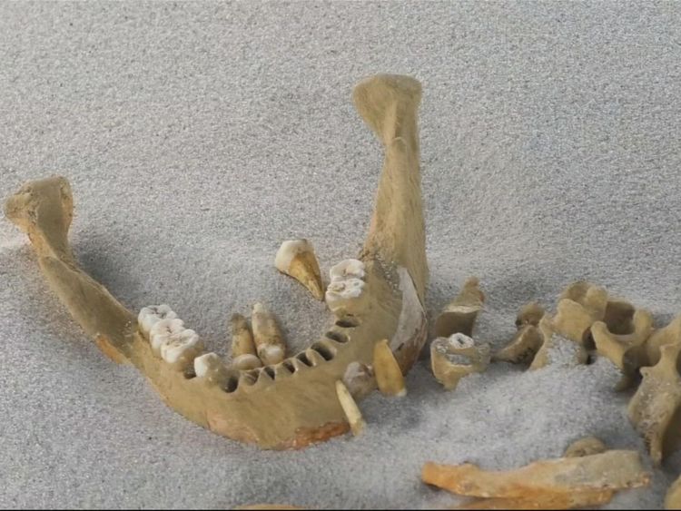 Les archéologues mexicains trouvent que les plus vieux restes mayas sont dans la grotte. Pic: INAH