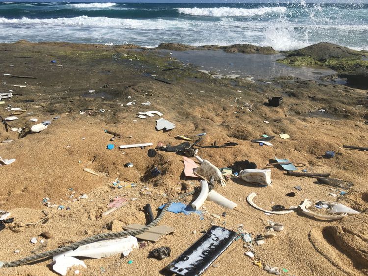 Plastiques échoués sur la rive à Hawaï