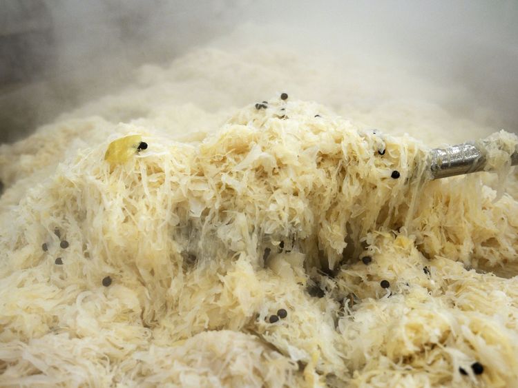 La choucroute est souvent consommée pour favoriser les bonnes bactéries dans l'intestin