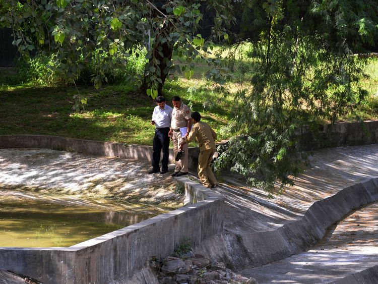 La police indienne a récupéré les chaussures d'un élève qui a été attaqué par un tigre blanc au zoo de Delhi en 2014