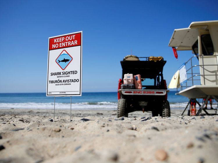 Après avoir nettoyé la zone océanique des surfeurs et des nageurs, les sauveteurs surveillent les eaux, au large de la plage de Beacon, après que les autorités aient déclaré qu'un jeune garçon avait été attaqué par un requin à Encinitas, en Californie.