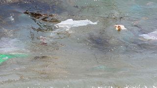 La campagne met en évidence le problème du plastique dans nos océans