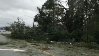 Abandon des arbres et des lignes électriques après l'ouragan Michael en Floride "srcset =" https://e3.365dm.com/18/10/320x180/skynews-hurricane-michael-panama-city-beach_4449585.jpg?20181011072241 320w, https: //e3.365dm.com/18/10/640x380/skynews-hurricane-michael-panama-city-beach_4449585.jpg?20181011072241 640w, https://e3.365dm.com/18/10/736x414/skynews-hurric -michael-panama-city-beach_4449585.jpg? 20181011072241 736w, https://e3.365dm.com/18/10/992x558/skynews-hurricane-michael-panama-city-beach_4449585.jpg?s encore une fois /e3.365dm.com/18/10/1096x616/skynews-hurricane-michael-panama-city-beach_4449585.jpg?20181011072241 1096w, https://e3.365dm.com/18/10/1600x900/skynews-hurricane- michael-panama-city-beach_4449585.jpg? 20181011072241 1600w, https://e3.365dm.com/18/10/1920x1080/skynews-hurricane-michael-panama-city-beach_4449585.jpg?20181011072241, post-scriptum e3.365dm.com/18/10/2048x1152/skynews-hurricane-michael-panama-city-beach_4449585.jpg?20181011072241 2048w "tailles =" (mi largeur n: 900px) 992px, 100vw