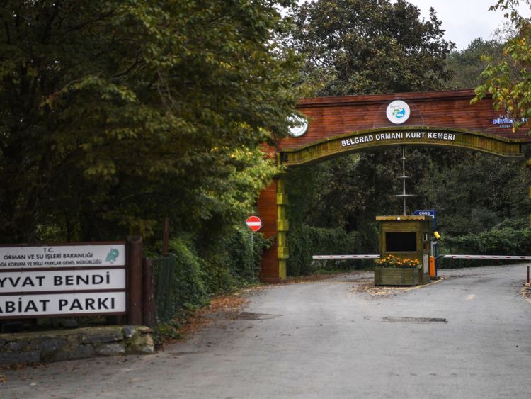 La vaste forêt de Belgrad est à la recherche de vestiges