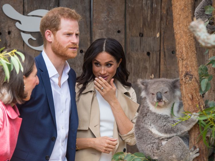 Harry et Meghan photographiés avec un koala à Sydney