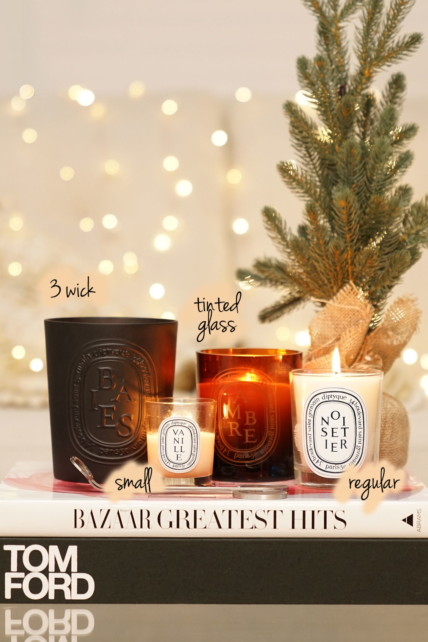 Best Diptyque Candles Baies, Vanille, Ambre et Noisetier | Le look book beauté