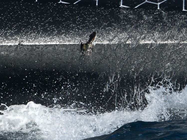 Alex Thomson menait la course en solitaire de la Route du Rhum lorsqu'il s'est écrasé