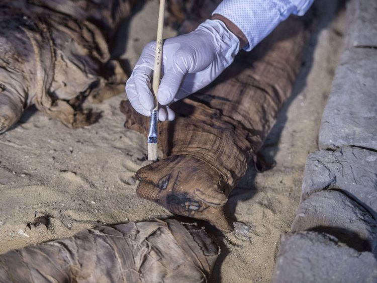 Des dizaines de momies de chats ont été découvertes dans des tombes de l'époque pharaonique près du Caire
