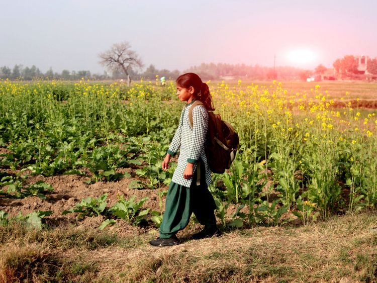 Les enfants de première et deuxième années ne devraient pas avoir à faire leurs devoirs, a déclaré le gouvernement indien