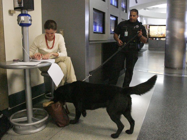 Les chiens ont été formés pour détecter toutes les drogues