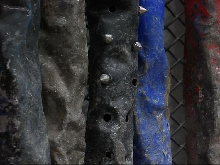Certaines des chauves-souris ont des crampons pour maximiser la destruction