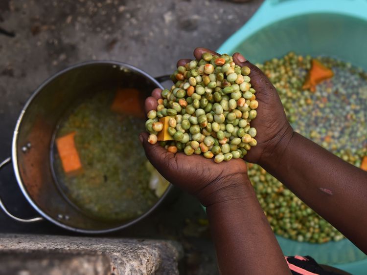 La consommation de haricots et de légumineuses doit augmenter