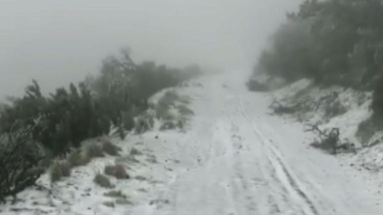 Rares chutes de neige sur les basses altitudes de Hawaii